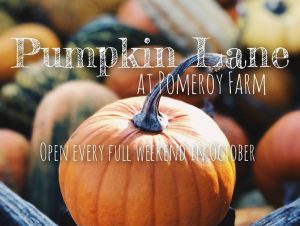 pumpkin lane pomeroy farms